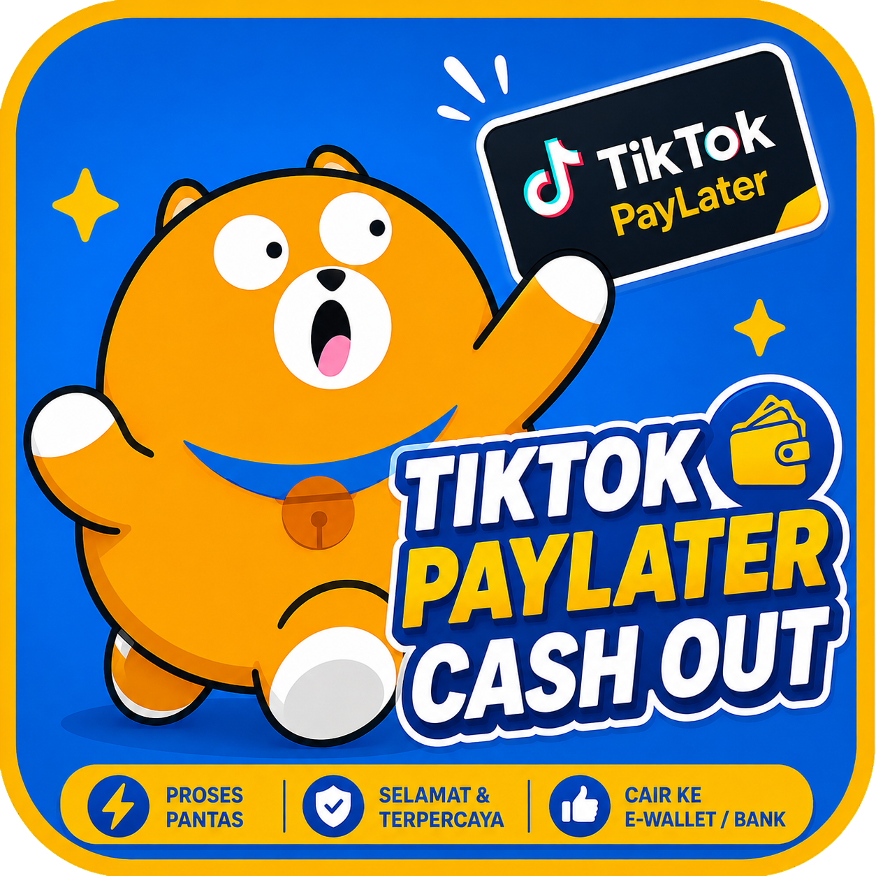 TikTok PayLater